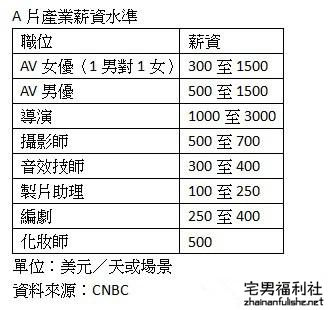 美国AV行业薪酬揭秘